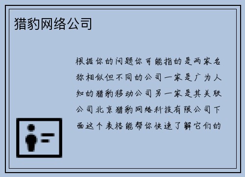 猎豹网络公司